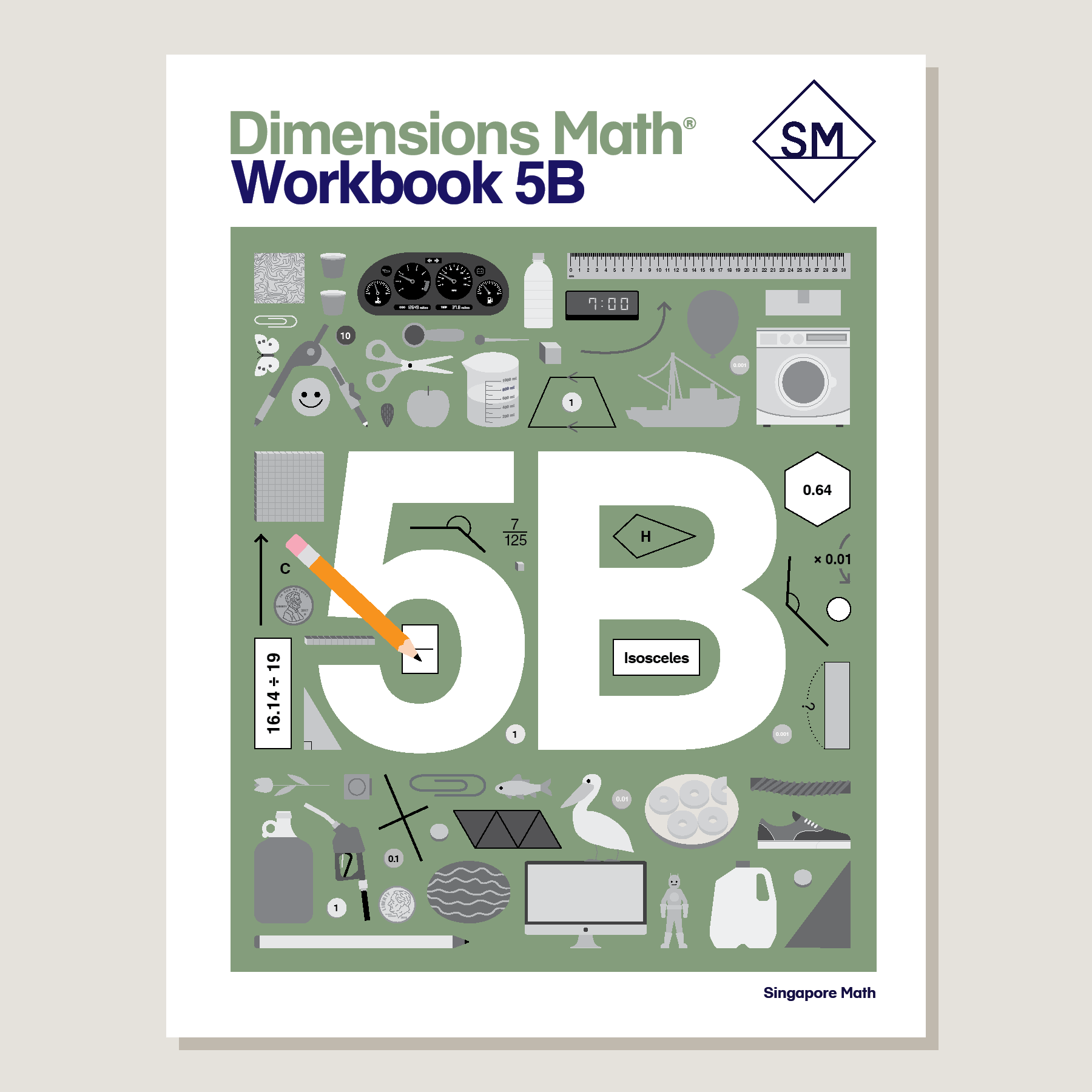 Dimensions Math Workbook 5B