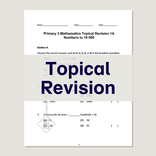 Topical Revision Singapore International Edition 3