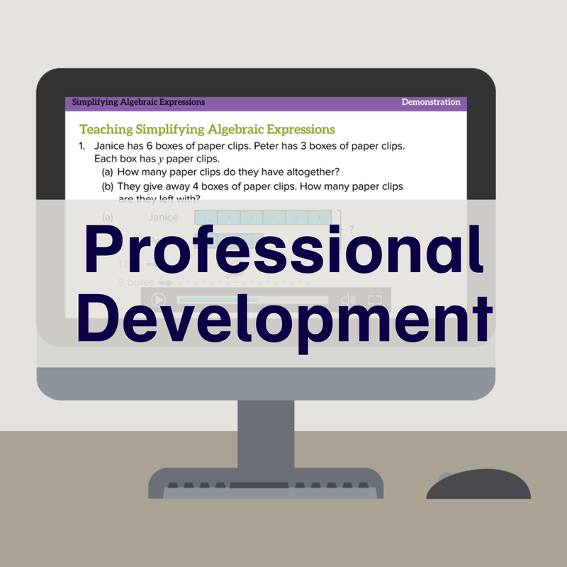 PM SIE 6 - Professional Development