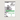 MPH Science Intl (2E) Teacher's Guide Primary 1 - Blemished