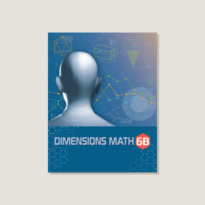 Dimensions Math Textbook 6B - Blemished